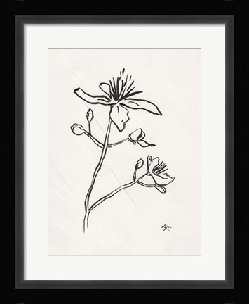 Framed Floral Ink Study II Print