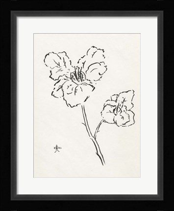 Framed Floral Ink Study III Print