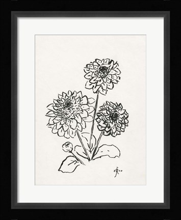 Framed Floral Ink Study V Print