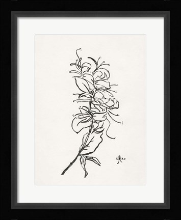 Framed Floral Ink Study VI Print