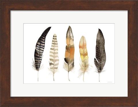 Framed Natural Feathers Print