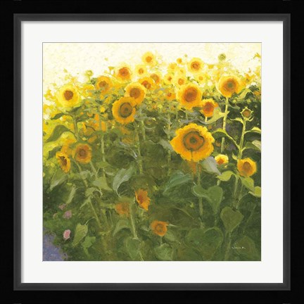 Framed Sunflower Field Print