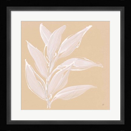 Framed Leaf Study II Print