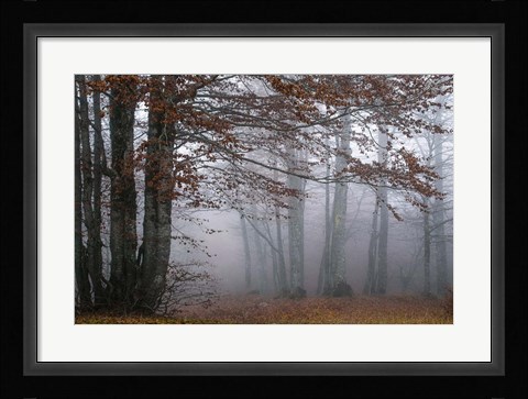 Framed Autumn Paintings Print
