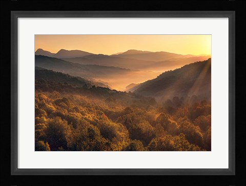 Framed Going Back Print