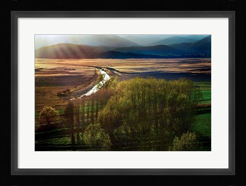 Framed Poems in the Sun Print