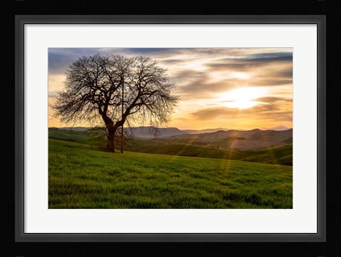 Framed Tree Print