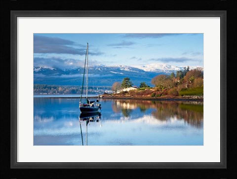 Framed Stillness Print