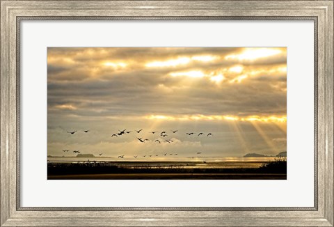 Framed Sunrise on The Estuary Print