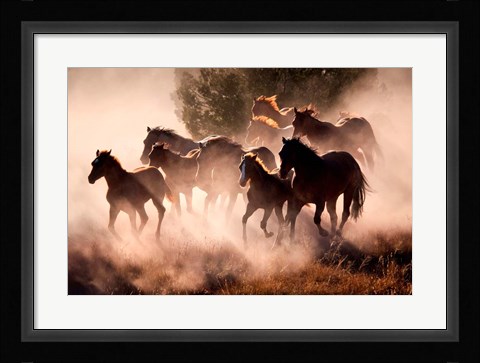 Framed Horses Print