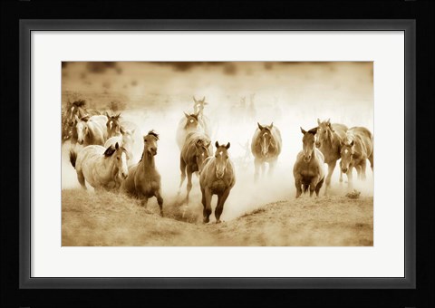 Framed San Cristobol Horses Print