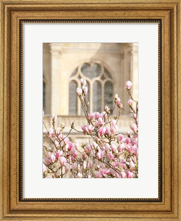 Framed Spring Magnolias In Paris Print