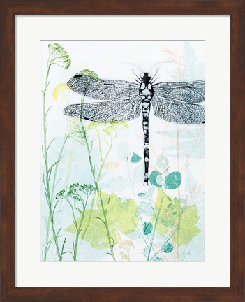 Framed Dragonfly And The Healing Plant Print