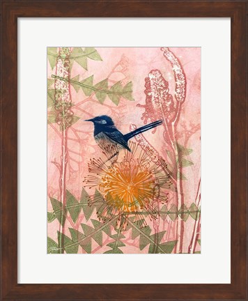 Framed Little Blue Wren Print