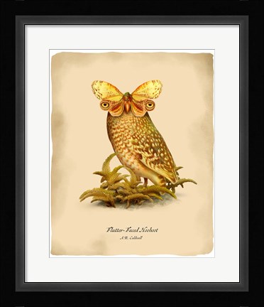 Framed Hoohoot Print