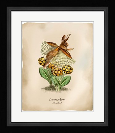 Framed Hoppers Print