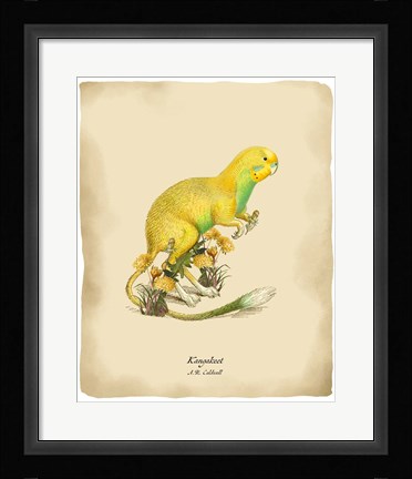 Framed Kangakeet Print