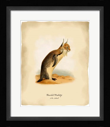 Framed Pen-Kitty Print