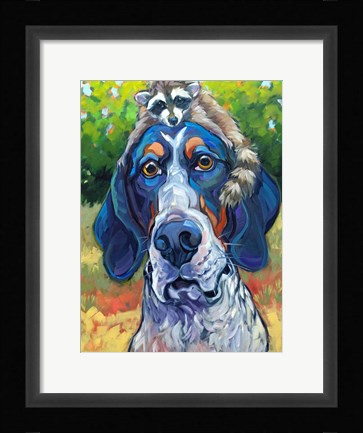 Framed Coonhound Print