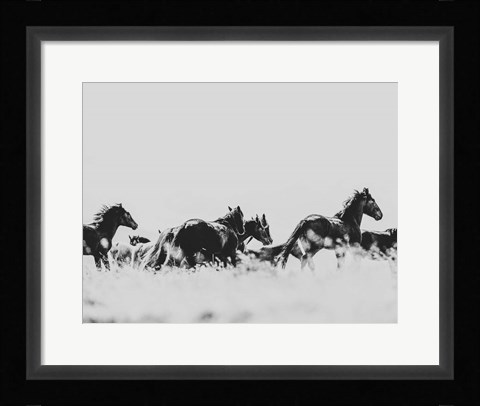 Framed Wild Horses of the Great Basin Print
