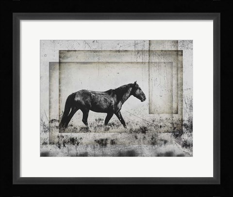 Framed Wild Horses of the Great Basin 5 Print