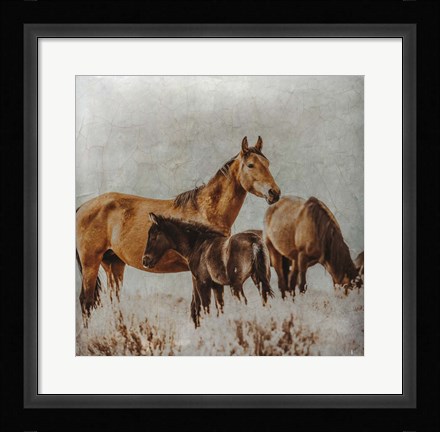 Framed Wild Horses of the Great Basin Lomography 2 Print
