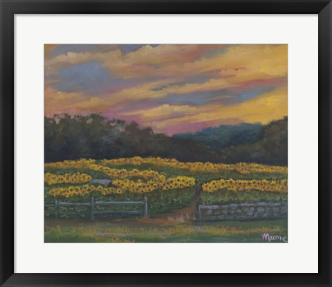 Framed Buttonwoods Sunset Print