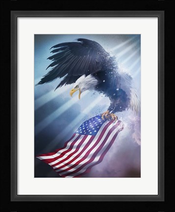 Framed Eagle 1 Print