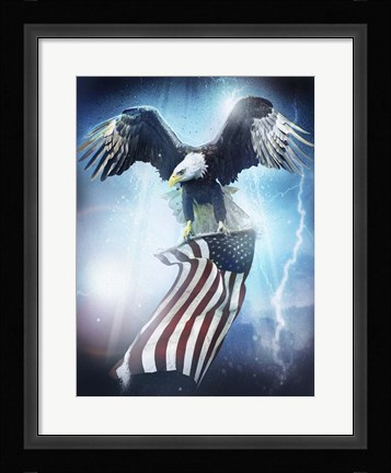 Framed Eagle 3 Print