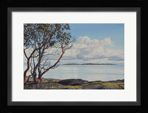 Framed Early Spring Arbutus Print