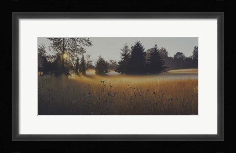 Framed Forest Morning Mist Print
