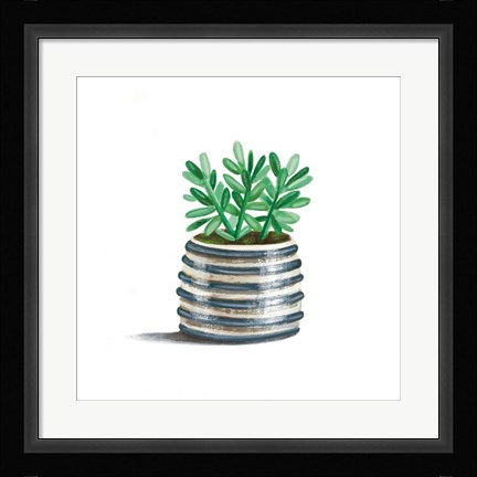 Framed Striped Succulent Print