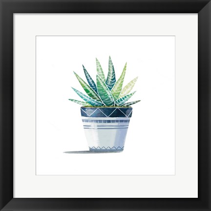 Framed Aloe Plant Print