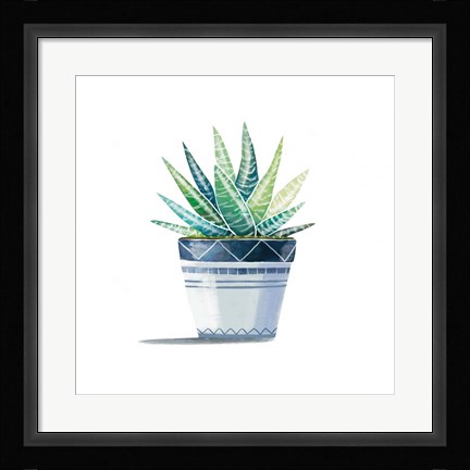 Framed Aloe Plant Print