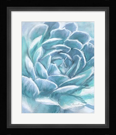 Framed Aqua Succulent Print