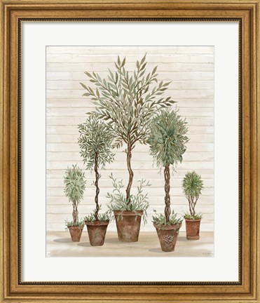 Framed Potted Tree Collection Print