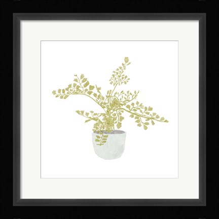 Framed Potted Fern III Print