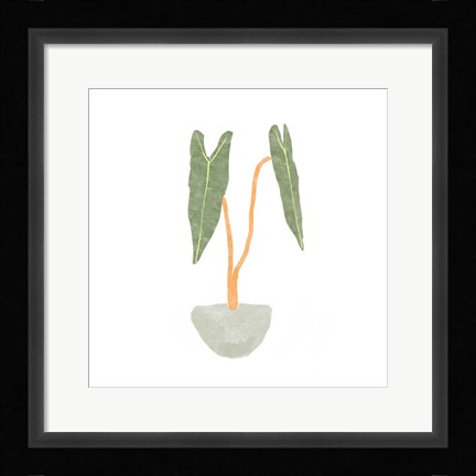 Framed Philodendron Billietiae I Print