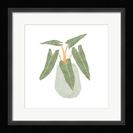 Framed Philodendron Billietiae II Print