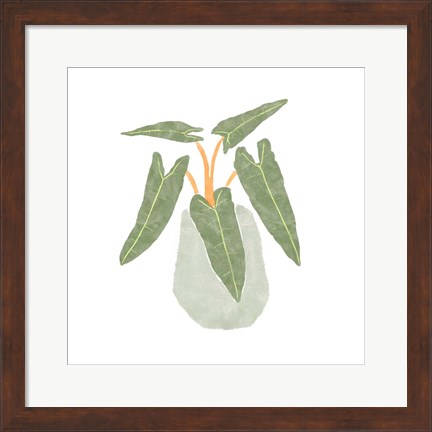 Framed Philodendron Billietiae II Print