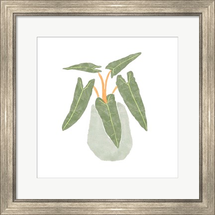 Framed Philodendron Billietiae II Print