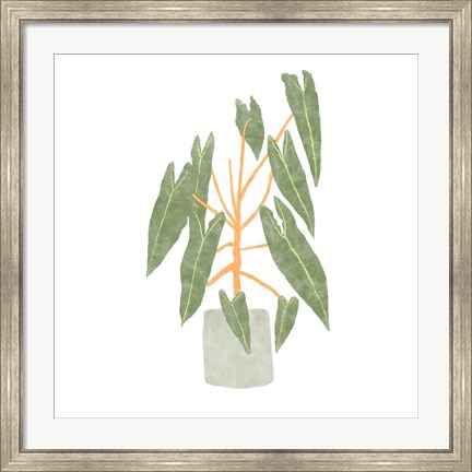 Framed Philodendron Billietiae III Print
