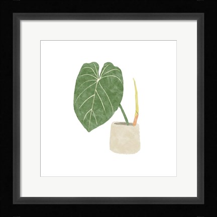 Framed Philodendron Gloriosum V Print