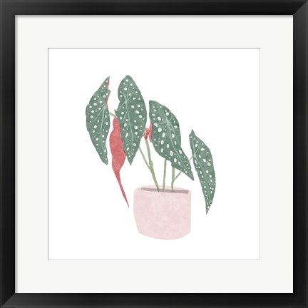 Framed Polka Dot Begonia IV Print