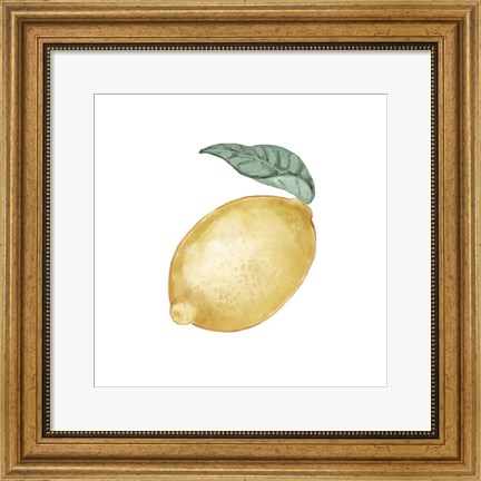 Framed Citrus Limon I Print