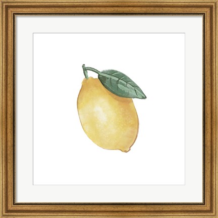 Framed Citrus Limon II Print
