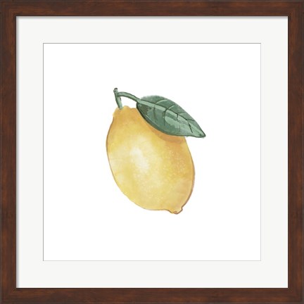 Framed Citrus Limon II Print