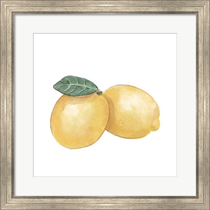 Framed Citrus Limon III Print