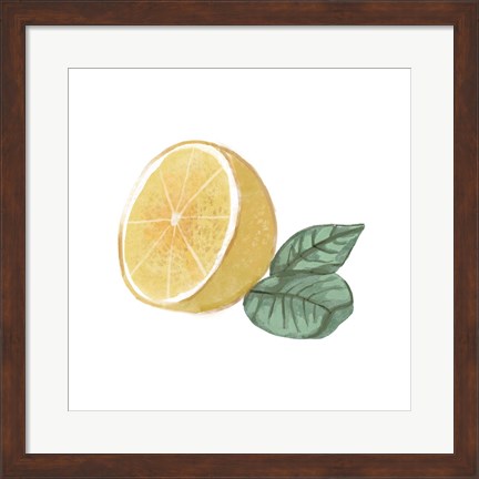 Framed Citrus Limon IV Print