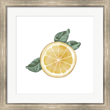 Framed Citrus Limon V Print
